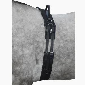 Longergjord med handtag